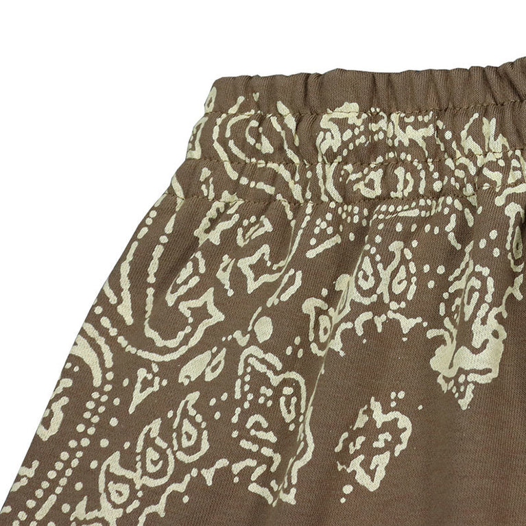 Vintage Paisley Print Men Shorts